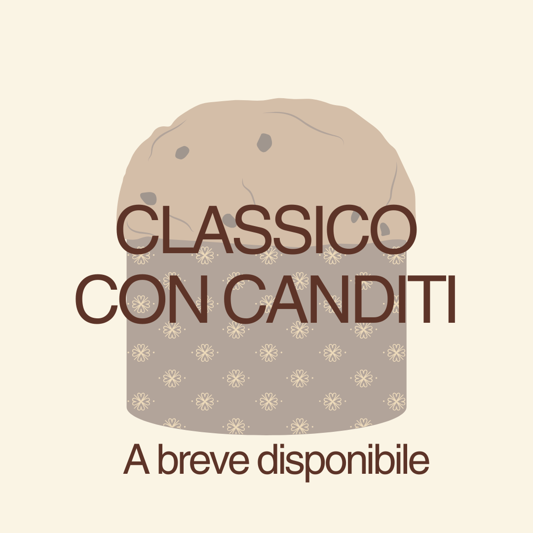Panettone Classico con canditi